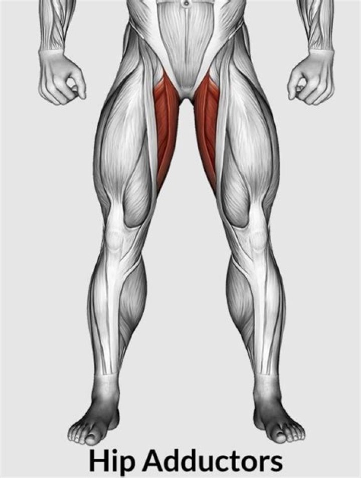 Ultimate Guide To Hip Abductor And Adductor Exercises