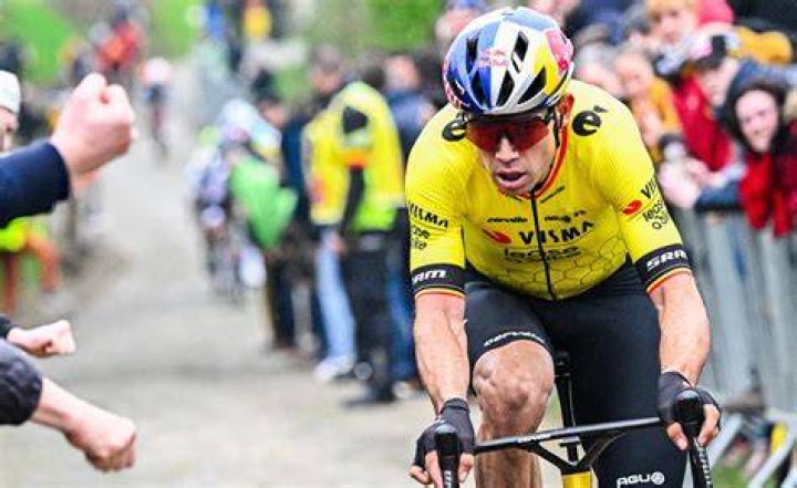 Uncovering The Enchanting World Of Wout Van Aert's Life Partner
