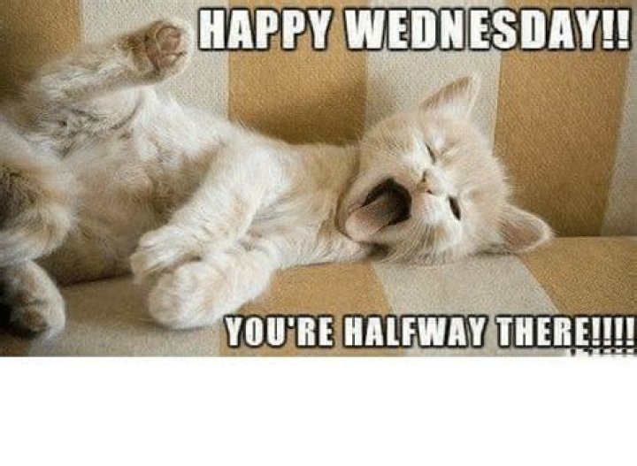 Wednesday Meme Work IdleMeme