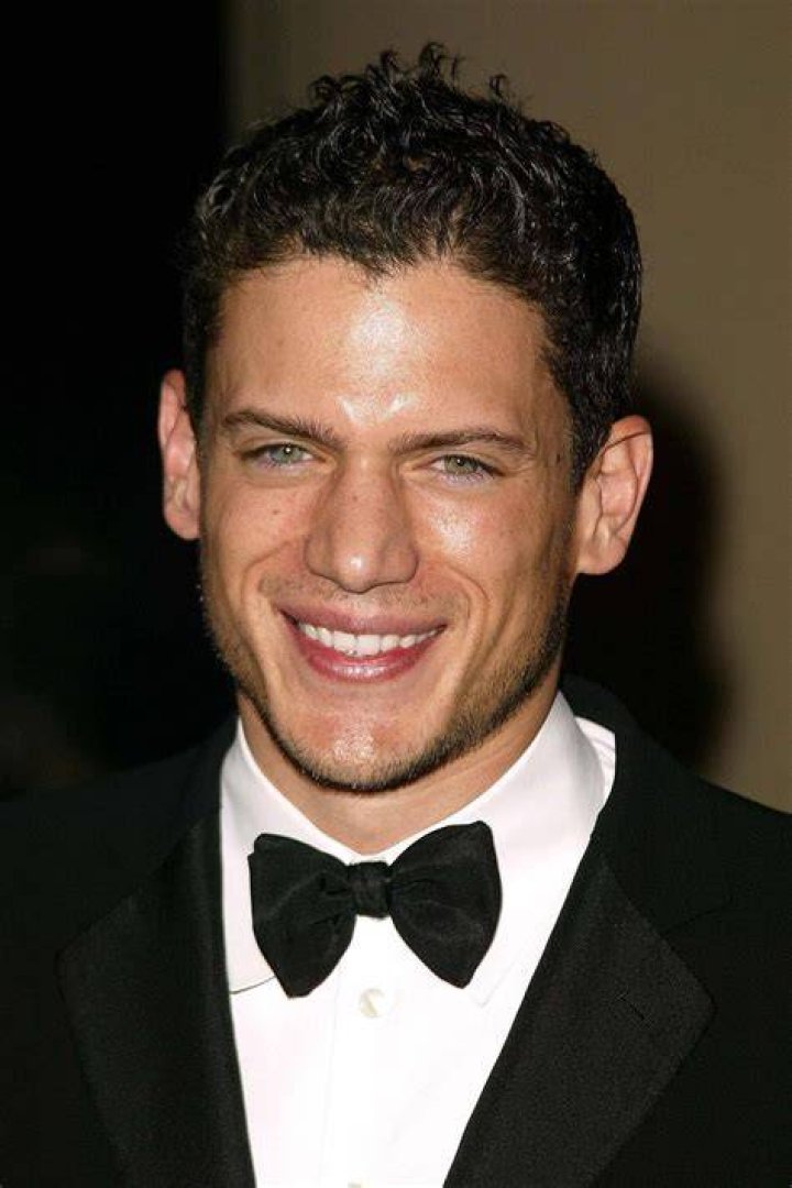 wenworth miller Wentworth Miller Photo (19376044) Fanpop
