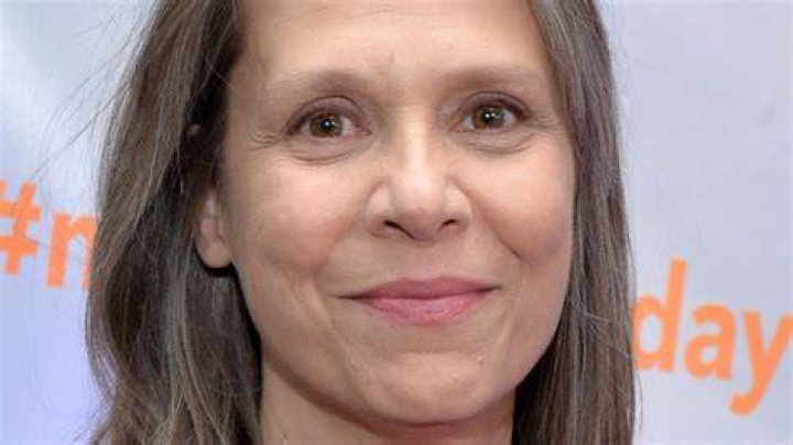 What Amy Morton Was Doing Before Chicago P.D.