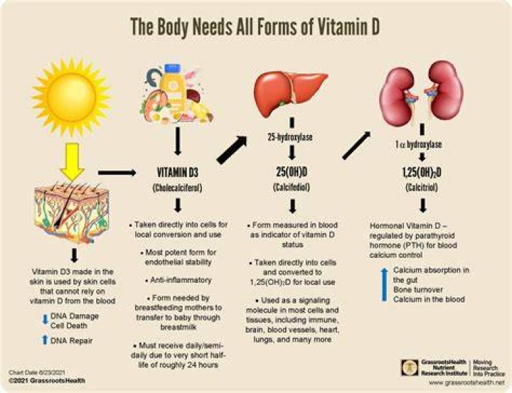 What does vitamin D do to magnesium?