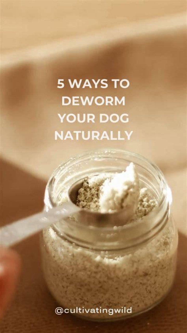 What happens if you dont deworm your dog?