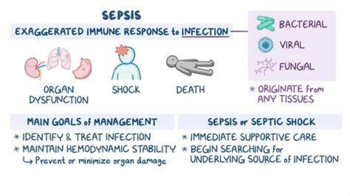 What is stage1 sepsis?