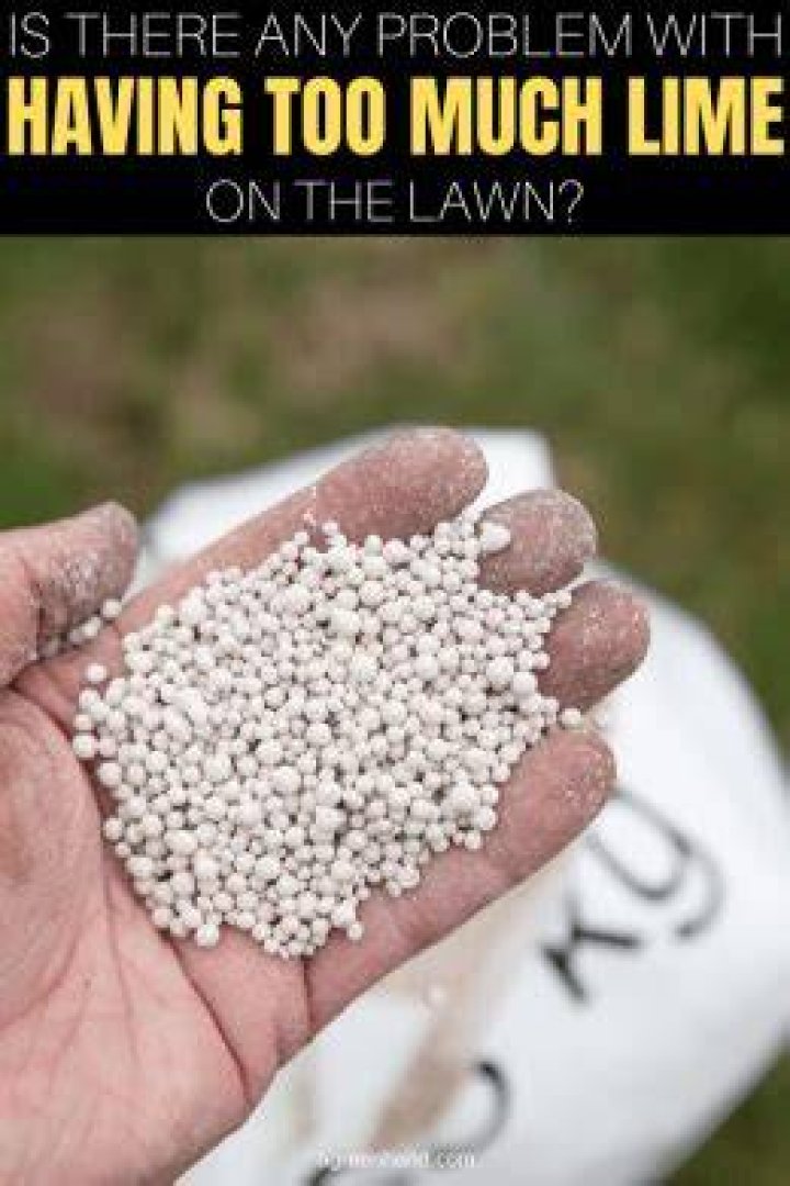 What will too much lime do to a lawn?
