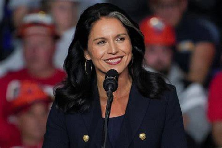 Who Is Tulsi Gabbard's Husband, Abraham Williams?