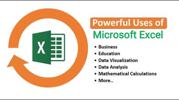 Who uses Excel the most?
