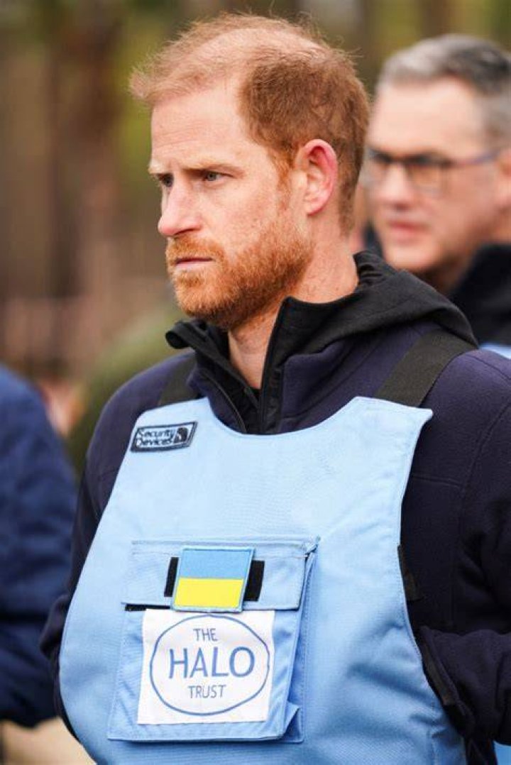 Would Prince Harry Still Step in as King if William and Charles Died?